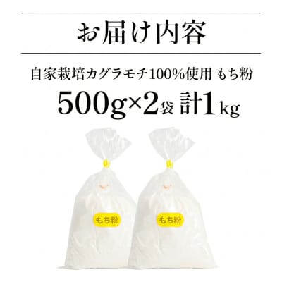 もち粉 溝木さんの餅粉 1kg(500g×2袋) グルテンフリー お正月 餅 小松島市