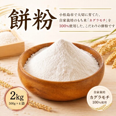 もち粉 溝木さんの餅粉 2kg(500g×4袋) グルテンフリー お正月 餅 小松島市