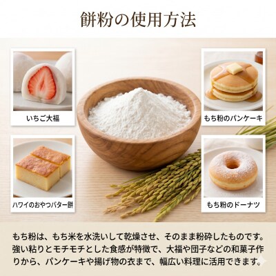 もち粉 溝木さんの餅粉 2kg(500g×4袋) グルテンフリー お正月 餅 小松島市