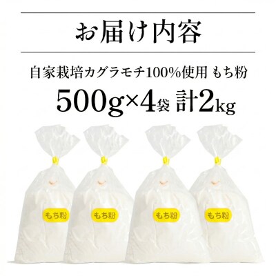 もち粉 溝木さんの餅粉 2kg(500g×4袋) グルテンフリー お正月 餅 小松島市