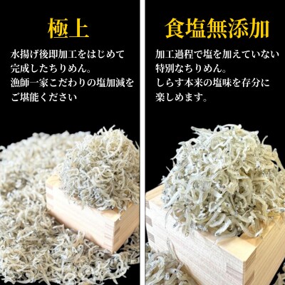 ちりめん 食べ比べ 800g 1袋 200g しらす 匠の極上ちりめん 食塩無添加 6月から発送 