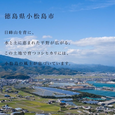 【2026年8月下旬順次発送】令和8年産 新米コシヒカリ 5kg 白米 数量限定 小松島市