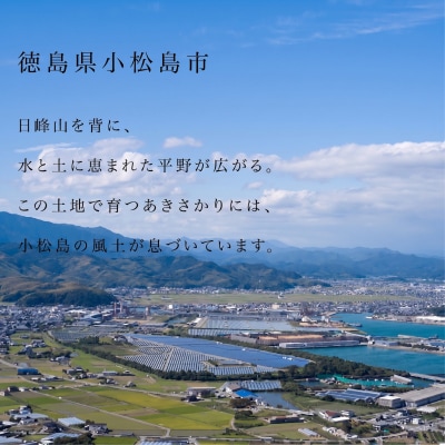 【令和8年産】 新米 あきさかり 10kg 白米 数量限定 小松島市