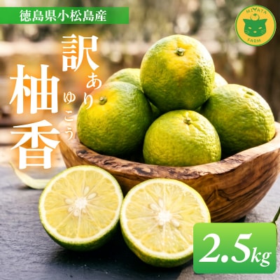 訳あり ゆこう 2.5kg (2026年10月以降順次発送) 柑橘 果物 柚香 果皮 果汁 小松島市