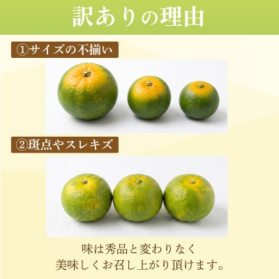 訳あり ゆこう 2.5kg (2026年10月以降順次発送) 柑橘 果物 柚香 果皮 果汁 小松島市
