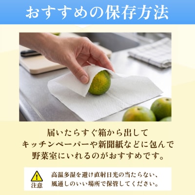 訳あり ゆこう 2.5kg (2026年10月以降順次発送) 柑橘 果物 柚香 果皮 果汁 小松島市