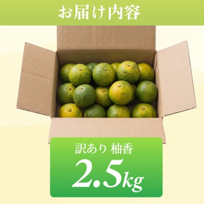 訳あり ゆこう 2.5kg (2026年10月以降順次発送) 柑橘 果物 柚香 果皮 果汁 小松島市