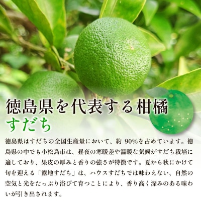 【2026年8月下旬順次発送】すだち 1kg 露地栽培 スダチ 徳島県産 小松島市 サワー お酒