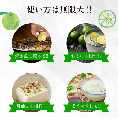 【2026年8月下旬順次発送】すだち 1kg 露地栽培 スダチ 徳島県産 小松島市 サワー お酒