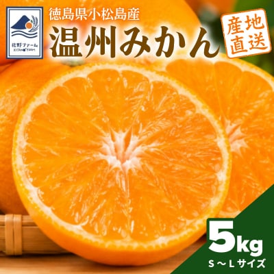 【2026年10月下旬順次発送】 みかん 5kg 温州みかん S～Lサイズ 小松島市