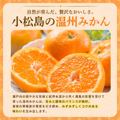 【2026年10月下旬順次発送】 みかん 5kg 温州みかん S～Lサイズ 小松島市