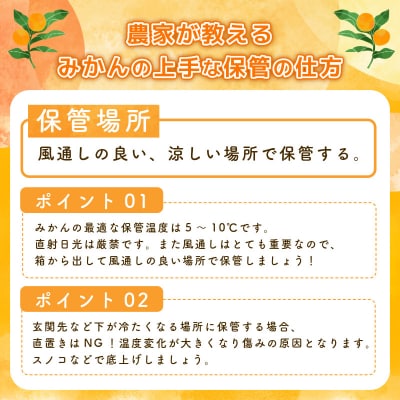 【2026年10月下旬順次発送】 みかん 5kg 温州みかん S～Lサイズ 小松島市