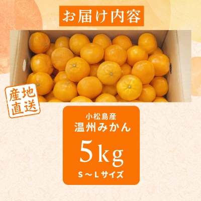 【2026年10月下旬順次発送】 みかん 5kg 温州みかん S～Lサイズ 小松島市