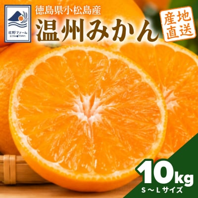 【2026年10月下旬順次発送】 みかん 10kg 温州みかん S～Lサイズ 小松島市