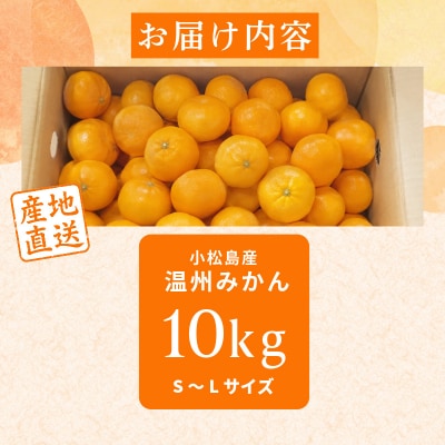 【2026年10月下旬順次発送】 みかん 10kg 温州みかん S～Lサイズ 小松島市