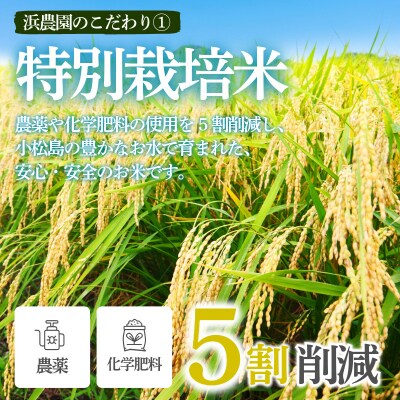 【2026年9月順次発送】特別栽培米　にじのきらめき 白米 1.5kg 小松島市 米 新米