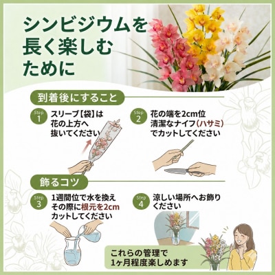 洋蘭 シンビジウム 8 ~ 10本 蘭 ラン 洋ラン 花 お花 徳島県 小松島市