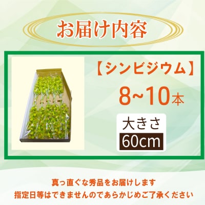 洋蘭 シンビジウム 8 ~ 10本 蘭 ラン 洋ラン 花 お花 徳島県 小松島市
