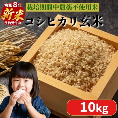 【2026年9月順次発送】栽培期間中農薬不使用　コシヒカリ玄米10kg 玄米 米 新米 小松島市