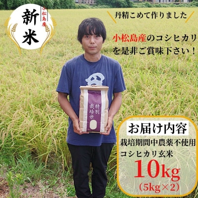 【2026年9月順次発送】栽培期間中農薬不使用　コシヒカリ玄米10kg 玄米 米 新米 小松島市