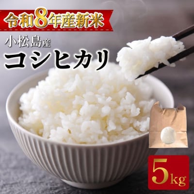 【令和8年産】新米 コシヒカリ 5kg 小松島産 産地直送 新鮮 米 