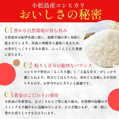【令和8年産】新米 コシヒカリ 5kg 小松島産 産地直送 新鮮 米 