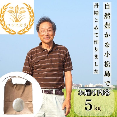 【令和8年産】新米 コシヒカリ 5kg 小松島産 産地直送 新鮮 米 