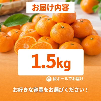 【2026年11月10日から発送】 濃蜜小粒みかん 1.5kg 2S以下 みかん 小玉 ミカン 蜜柑