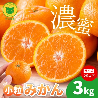 【2026年11月10日から発送】 濃蜜小粒みかん 3kg 2S以下 みかん 小玉 ミカン 蜜柑