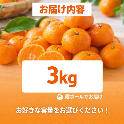 【2026年11月10日から発送】 濃蜜小粒みかん 3kg 2S以下 みかん 小玉 ミカン 蜜柑
