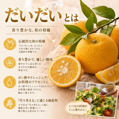 ドレッシング だいだい ノンオイル 1本 300ml 徳島県 小松島市