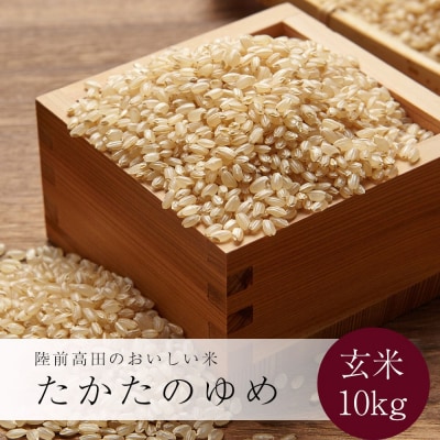 令和6年産 たかたのゆめ 玄米 10kg ひとめぼれ×あきたこまち