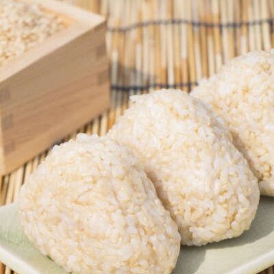 【3ヶ月定期便】 令和6年産 たかたのゆめ 玄米 10kg×3ヶ月 (合計30kg)