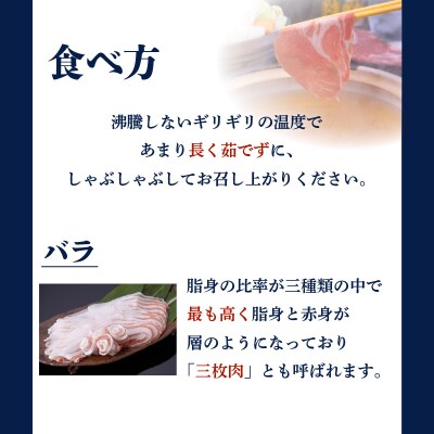 昔ながらの黒豚しゃぶしゃぶセット【バラ、ロース、肩ロース】6～8人前　K125-004
