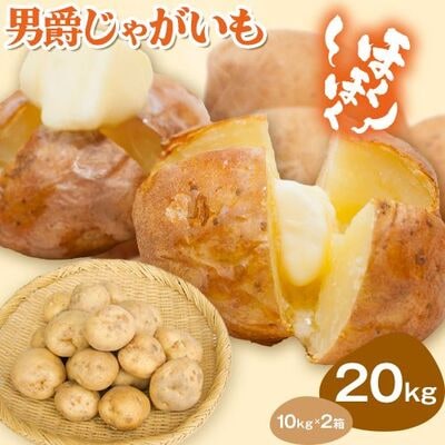 越冬してさらに美味しく!男爵20kg