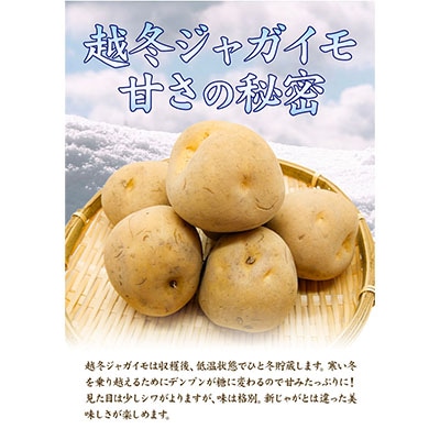 越冬してさらに美味しく!男爵20kg