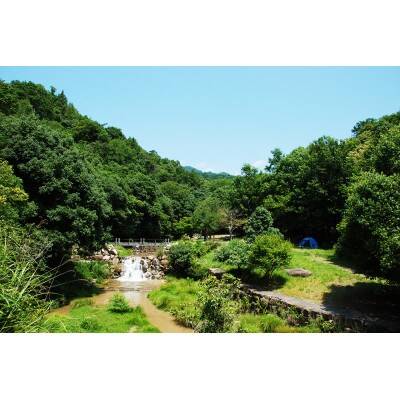 【返礼品なし】広島県府中町「都会のオアシスづくり」応援