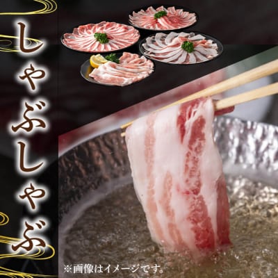 かごしま味わい黒豚　スライス　バラエティパック2,400g