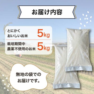 糸島産 ヒノヒカリ 食べ比べ2種セット 5kg×2 糸島市/シーブ 米 お米 こめ [AHC065]