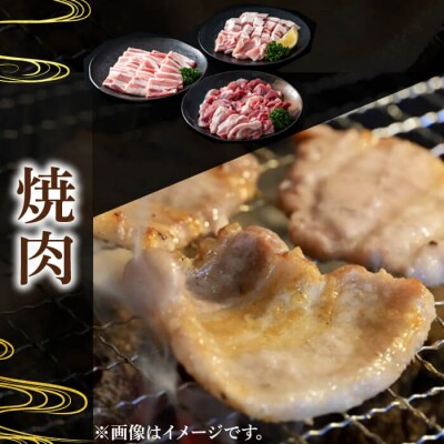 かごしま味わい黒豚　焼肉ファミリーパック2,400g