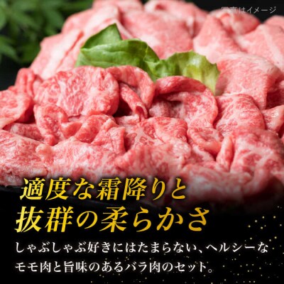 【しゃぶしゃぶ】 A4 ランク 糸島 黒毛和牛 スライス 計1kg  食べ比べ[ACA068]