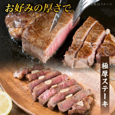 【極上 シャトーブリアン ブロック】 600g A4ランク 博多和牛 糸島 [ACA124]