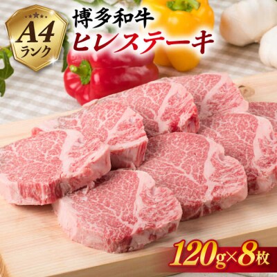 【厚切ヒレステーキ】120g×8枚 A4ランク 博多和牛 糸島【糸島ミートデリ工房】[ACA046]