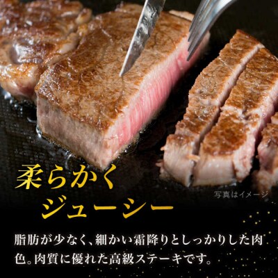 【厚切ヒレステーキ】120g×8枚 A4ランク 博多和牛 糸島【糸島ミートデリ工房】[ACA046]