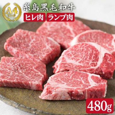 【極上ステーキ】 ヒレ ランプ 480g A4ランク 黒毛和牛【糸島ミートデリ工房】[ACA009]