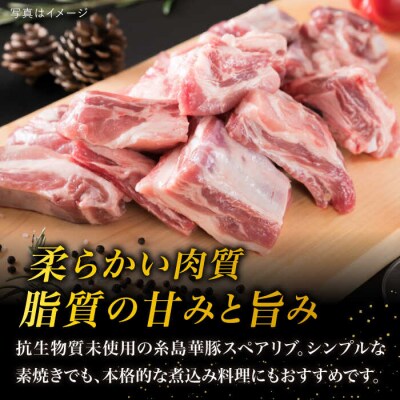 【バーベキュー/煮込み用】約2.4kg 糸島華豚 スペアリブ/糸島ミートデリ工房[ACA094]