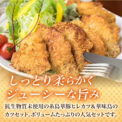 【合計38枚】カツ2種セット 糸島華味鳥チキンカツ/糸島華豚ヒレカツセット [ACA102]