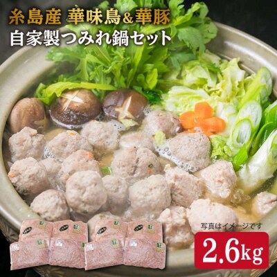 自家製つみれ 鍋セット (華豚/華味鳥)  計2.6kg【糸島ミートデリ工房】 [ACA100]