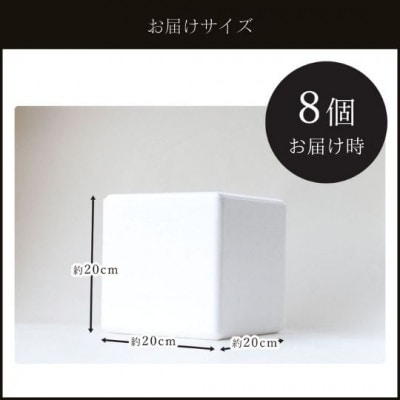 最小最古の藤井牧場の銀座〆じぇら(8個セット)