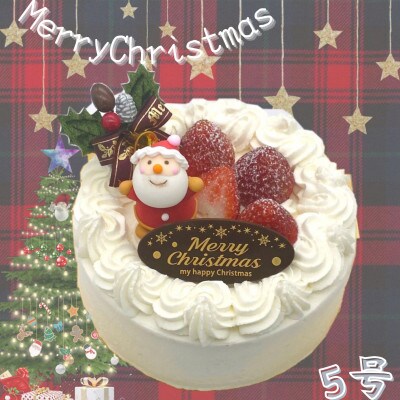卵・乳・小麦粉不使用　いちごのクリスマスケーキ　5号